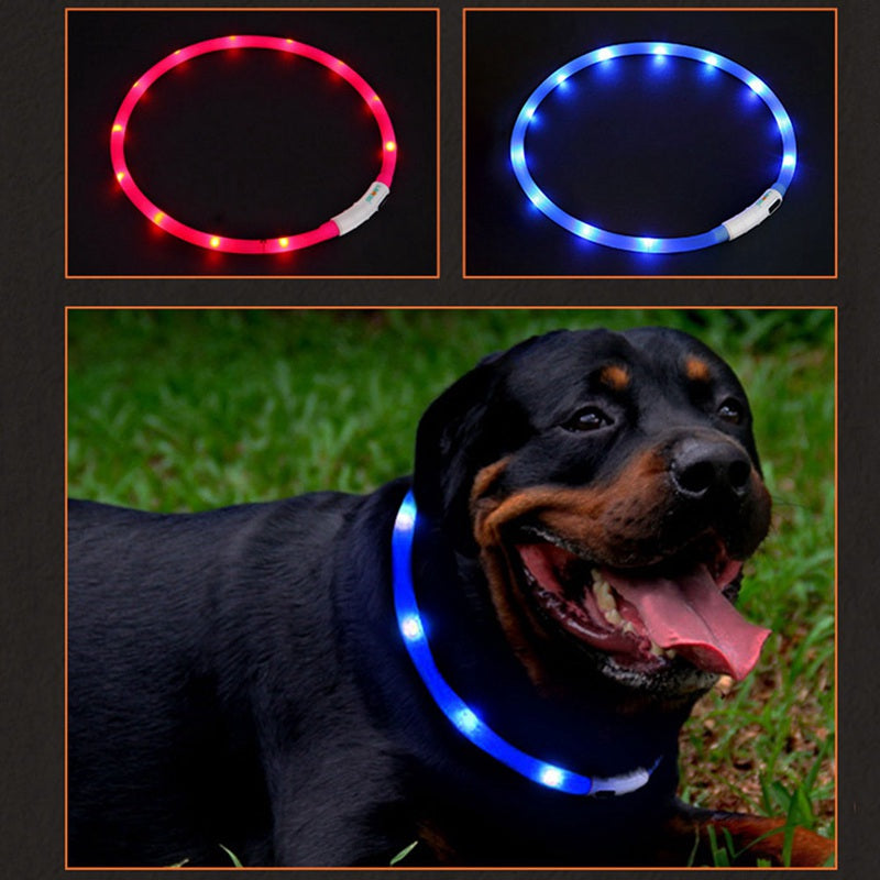 USB Charging LED Glowing Dog Collar