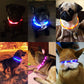 USB Charging LED Glowing Dog Collar