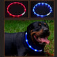 USB Charging LED Glowing Dog Collar