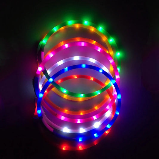 USB Charging LED Glowing Dog Collar