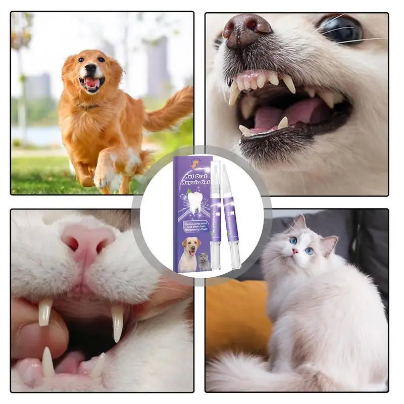 Fresh Breath, Happy Pets: Oral Repair Gel