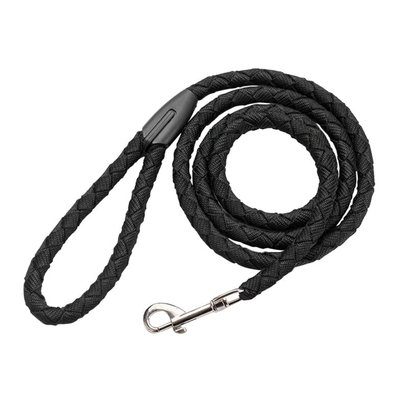 2 Way Braided Nylon Dual Dog Leash