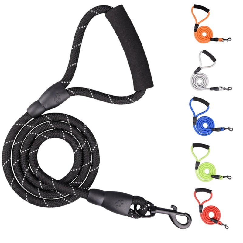 2 Way Braided Nylon Dual Dog Leash