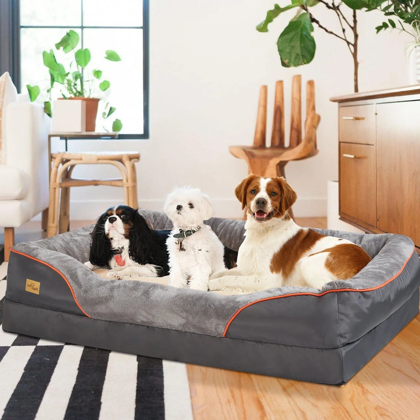 Cloud Comfort Orthopedic Dog Bed