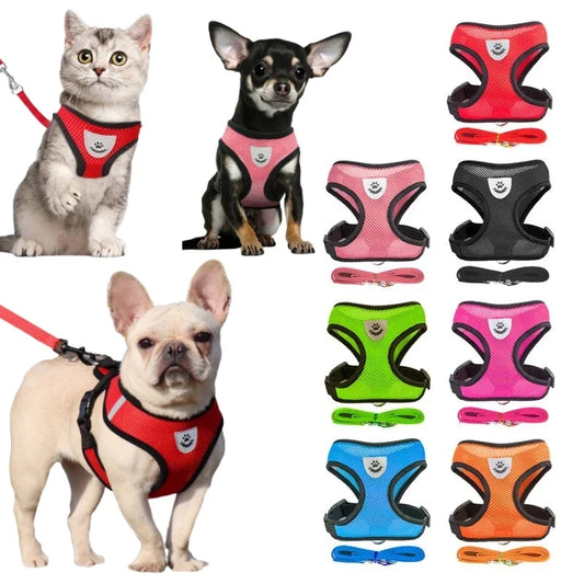 Breathable Pet Harness with Leash - Lightweight Mesh for Cats & Small Dogs