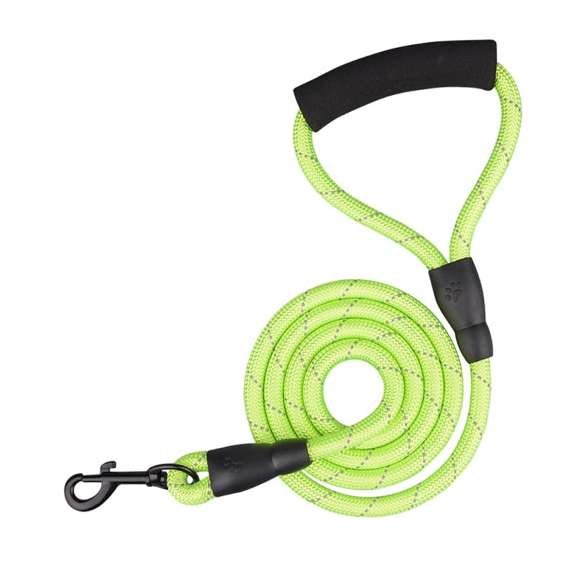 2 Way Braided Nylon Dual Dog Leash